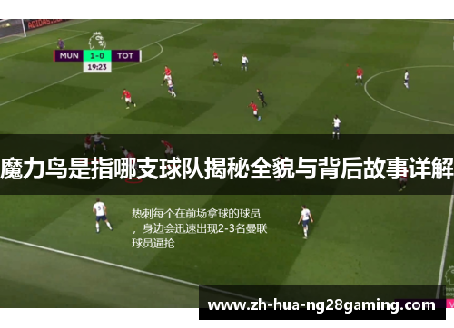 魔力鸟是指哪支球队揭秘全貌与背后故事详解