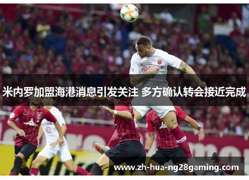 米内罗加盟海港消息引发关注 多方确认转会接近完成